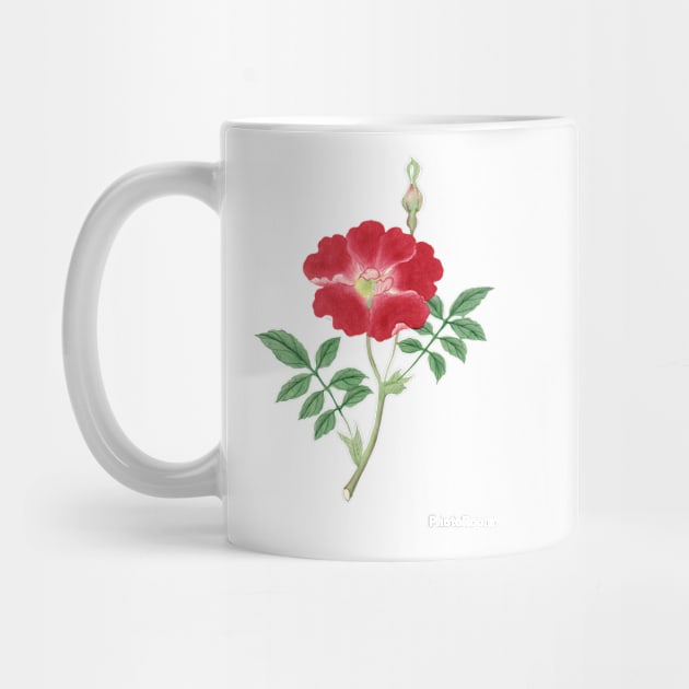 Red rose, painting flower, March to April (ca. 1870–1880) painting by T-SHIRT-2020